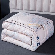 Silk quilt 100 mulberry silk winter quilt thickened All cotton 10 catty 7 Winter cotton quilted by Four Seasons universal spring and autumn quilts quilt core