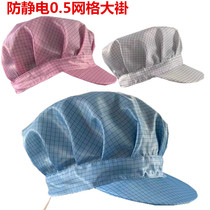 Anti-static 0 5 grid female worker cap grid big work cap dust-free clean work cap workshop protective cap