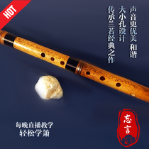 Forget the words Dongxiao Lan Ruo beginner G F eight holes Purple Bamboo professional playing musical instruments short and long flute tutorial