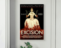 2012 25 printed posters for girls in the classroom