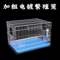 Big bird cage budgerigar bird cage Medium and large electroplated starling peony Xuanfeng Bold breeding large metal complex