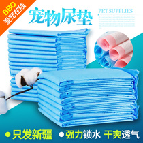 bbq love pet simple pet diaper pad thick cat dog diaper dog diaper 50 pieces 100 pieces
