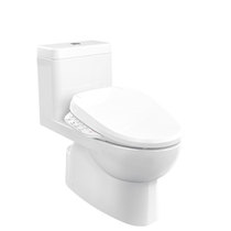 Ruiqi one-piece toilet 3983T C3-105 smart cover 8297T