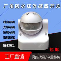 Spherical infrared human body sensing switch 110V220V human body infrared sensor outdoor waterproof intelligent