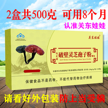 Changbaishan Toudao Ganoderma Lucidum Spore Powder 500g Toudao Basswood Red Ganoderma Lucidum Spore Powder