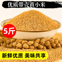 Bird grain new yellow millet with Shell millet Xuanfeng tiger skin peony parrot feed bird food bird food 5kg food grain