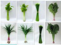 High simulation vegetable model fake cabbage lettuce lettuce oil wheat vegetable with leaf celery garlic decoration cabinet decoration
