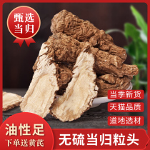Super high altitude planting Angelica body selection big Angelica 500g sulfur-free Angelica pure natural drying