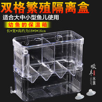 Guppies breeding box Fish Tank Isolation incubator box tropical fish small fish large small fish large small isolation box incubation spawning room