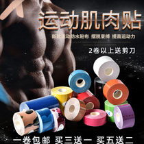 Special offer Professional muscle internal effect patch tape Elastic sports bandage Muscle internal effect patch Muscle patch Muscle patch tape