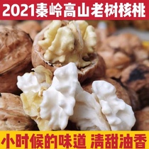 2021 fresh old varieties of walnut