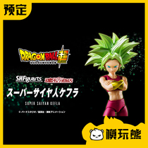 Model play bear Wandai soul limit SHF Dragon Ball Super Califra Kaifra Super Saiyan Reservation