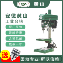 Huangshan Tai Drill Hot Sale Industrial Heavy Drilling Machine Z4112B4116Z4120B Punching Machine Bead Drill 380