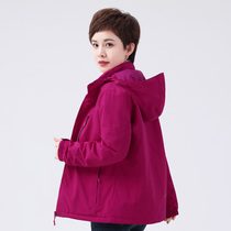 Winter storm jacket womens down jacket outdoor mountaineering and skiing warm thick plus size waterproof jacket windproof clothing