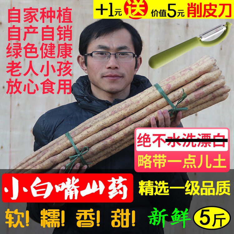 An old yellow cow Hebei authentic small white mouth yam Huai yam Huai yam fresh yam is better than iron stick