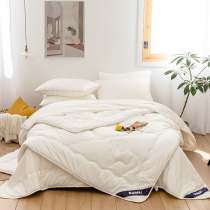 More love two-in-one child and mother silk Australian wool quilt quilt quilt core thickened warm winter Four Seasons Spring and Autumn Winter