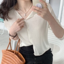 Pumpkin Valley silk wool and simple flat knit ~ 2022 spring and summer new long sleeves round neck-shirt woman Z1106