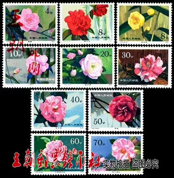 山茶花寄信邮票-山茶花寄信邮票促销价格、山茶花寄信邮票品牌- 淘宝