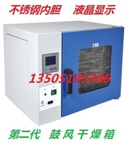 Shanghai Jingheng DHG-9123A electric constant temperature blast drying oven stainless steel liner 550×450×550