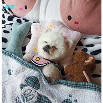 Cartoon pet pillow Teddy than bear Bomei puppy pillow sleeping special small dog method fighting cat sleeping mat