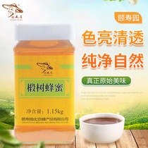Authorized Yiyuan brand Yishouyuan linden tree honey 1150g pure natural linden honey bottle