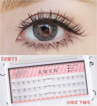 Japanese Net red segmented false eyelashes female simulation natural dense single cluster eyelash Barbie bridal makeup