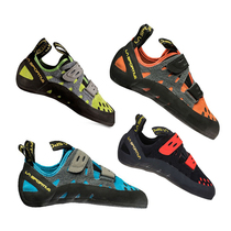 La Sportiva Tarantula Tarantula Junior Climbing Shoes Italy Imported Multi-color New Color