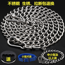 304 stainless steel dog chain subtraction rope iron chain anti-bite chain small midsize dog collar gold Maud pasteurid dog