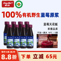 Lingzhen 100% no added organic wild blueberry juice puree drink saccharin-free 16 bottles of 0 fat NFC pure juice