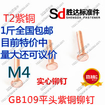 M4 * L series GB109 flat head copper rivets solid rivets 1kg nationwide
