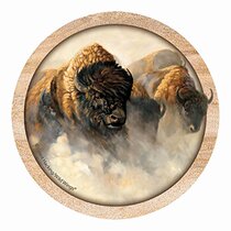 Thirstystone Drink Coaster Set Phantoms of the Pla