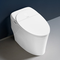 Faenza bathroom F6 can be heated to clean the smart toilet of conjoined toilet