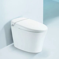 Wing whale bathroom ICO553 smart toilet (6 3 live exclusive)