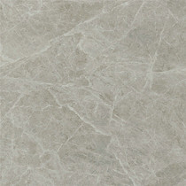 Marco Polo tile# CH8200AS#800*800