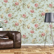 ROEN ruran wallpaper frenciya FO22602 bedroom living room background wall American imported pure paper wallpaper