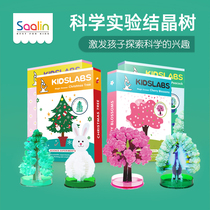 Scientific experiment childrens educational toys Christmas paper tree flowering crystal tree will grow crystal magic tree hot sale