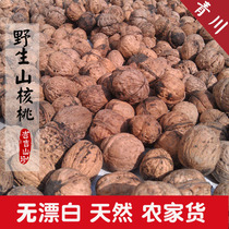 Shoot 3 pieces of wild old tree soil walnuts Guangyuan farmers produce Qingchuan hickory native products without bleaching