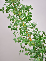 Simulation rose rattan leaves green plant vines fake flower vine plant air-conditioning tube decoration cover leaves plastic green leaves