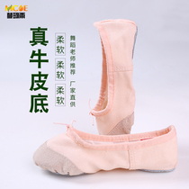 Childrens dance shoes ballet womens soft bottom practice shoes adult white dancing shape shoes teacher ethnic pink