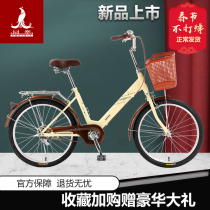 Phoenix Bicycle Female 22-inch Lightweight Bicycle Male Ordinary Adult Student City Lady Commuter