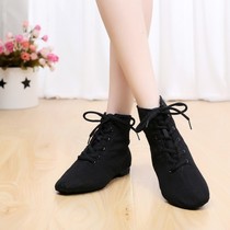 National dance shoes High-top jazz shoes Low-top dance shoes Mens and womens soft-soled ballet modern practice shoes teacher