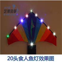 LED kite light Luminous kite accessories Kite line light Side light Piranha light Special offer