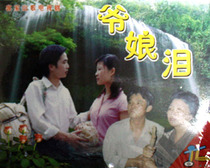 Hakka Folk Songs VCD disc Hakka drama Tears of My Mother Double disc set genuine DVD video