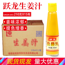 Yuelong ginger ginger 210ml * 15 bottles edible pure ginger juice water concentrated ginger milk tea sauce
