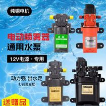 Backloaded electric sprayer accessories high pressure water pump motor diaphragm pump 12v agricultural sprayer motor double pump