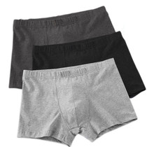 Summer style 5 mens underwear flat corner cotton adults Sexy breathable No marks Four corners Great Red Ben life 200 catty
