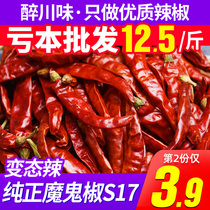Authentic Indian imported devil dry chili 250g Chili dry special spicy perverted spicy super spicy chili king chili dry goods
