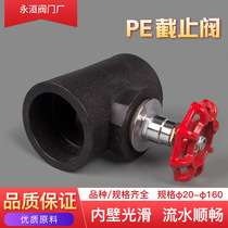 20PE lifting globe valve 25 water pipe stop gate valve switch 4 minutes 6 minutes 1 inch ball valve fittings
