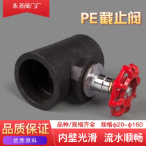 20PE lifting globe valve 25 water pipe stop gate valve switch 4 minutes 6 minutes 1 inch ball valve fittings