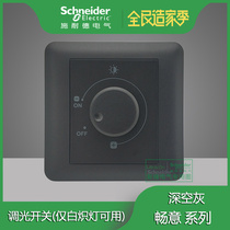  Schneider Changyi deep space gray 400W dimming switch A3B31_DC only incandescent lamps are available type 86